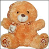 Brown Teddy bear  - Height 20cms - Click here to View more details about this Product
